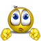 Icon Megafliege
